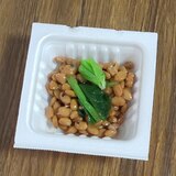 小松菜の納豆